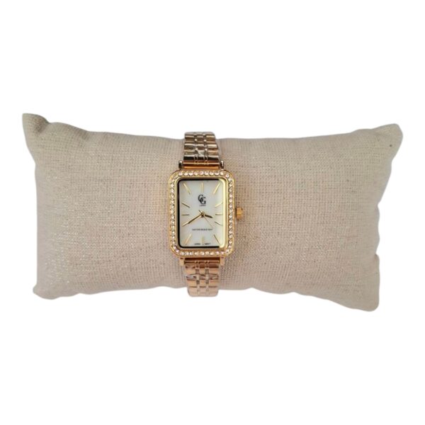 Montre acier inoxydable