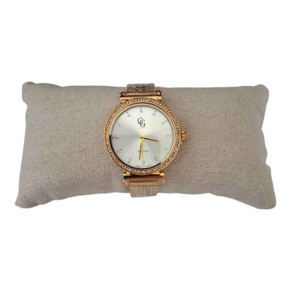 Montre acier inoxydable