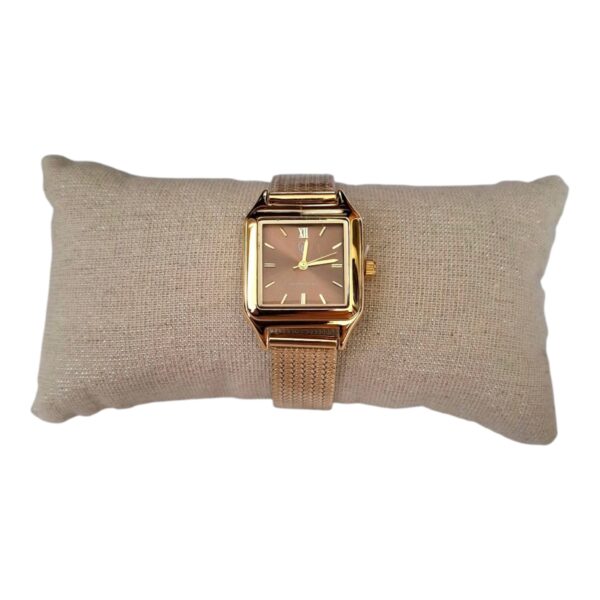 montre en acier inoxydable
