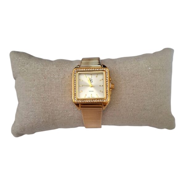 Montre acier inoxydable